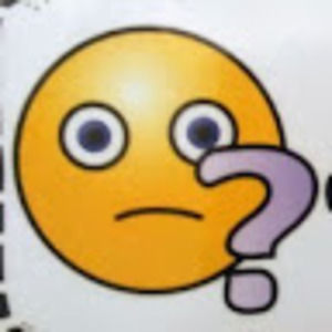 Meet your Posher, Ella